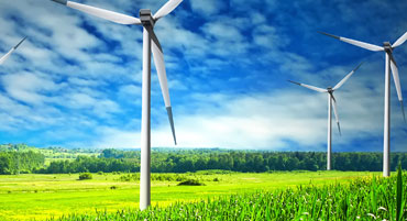 hero image of windmills